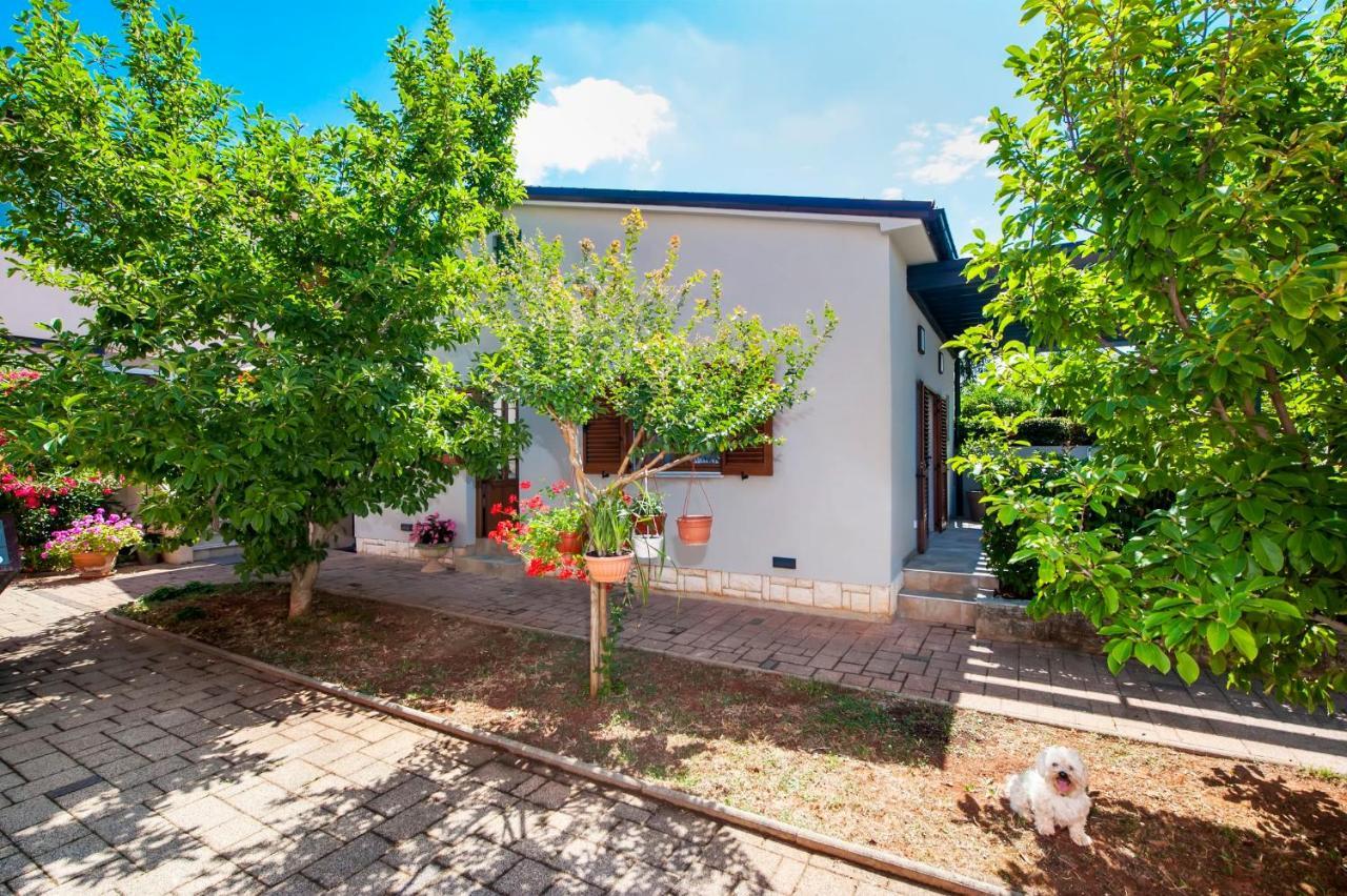 Apartments Karmen Ρόβινι Εξωτερικό φωτογραφία